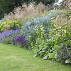 Borderpakket Onderhoudsvriendelijk (3 M²)